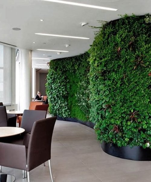 Living-green-walls-for-office-Receptions-web